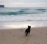 Breakers at Mudjimba Beach - Holiday Great Ocean Road