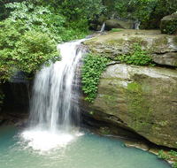 Buderim Forest Hideaway - Holiday Great Ocean Road