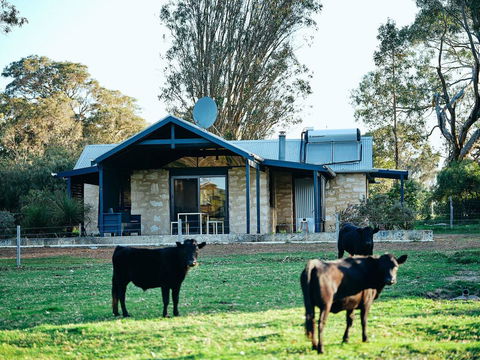 Burnside Organic Farm - Holiday Great Ocean Road 2