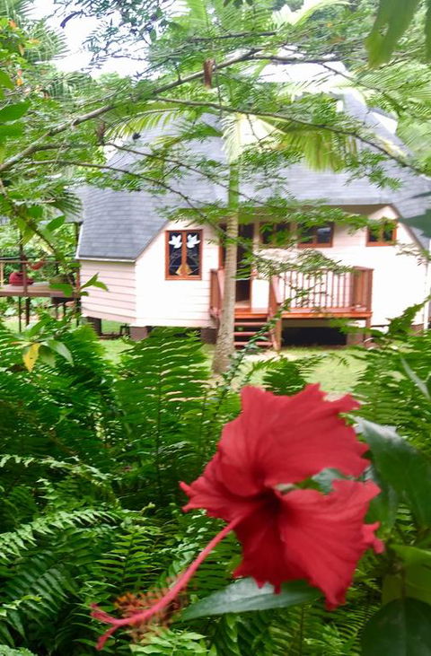 Cape Tribulation Holiday House - Holiday Great Ocean Road 3