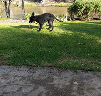 Captain's Cottage Bed  Breakfast - Holiday Great Ocean Road