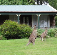 Cedar Lodge Cabins - Holiday Great Ocean Road