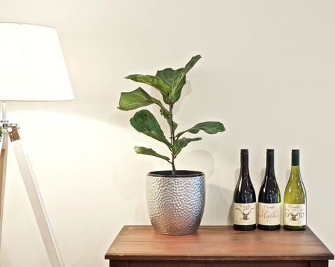 Cirillo Guest House - Holiday Great Ocean Road 2