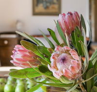 Cooee Cottage - Holiday Great Ocean Road