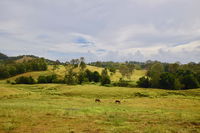 Book Kandanga Accommodation Vacations Holiday Great Ocean Road Holiday Great Ocean Road