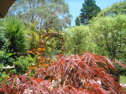 Crimson Villa - Holiday Great Ocean Road 3