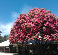 Crossways Country Inn - Holiday Great Ocean Road