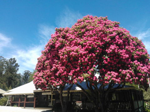 Crossways Country Inn - Holiday Great Ocean Road 0