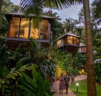 Daintree Ecolodge - Holiday Great Ocean Road