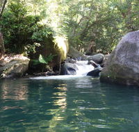 Daintree Secrets Rainforest Sanctuary - Holiday Great Ocean Road