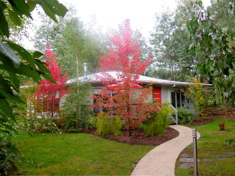 Dalrymples Guest Cottages - Holiday Great Ocean Road 0