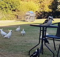 Eildon Parkview Motor Inn - Holiday Great Ocean Road