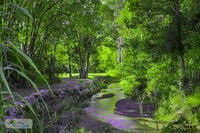 Book Esk Accommodation Vacations Holiday Great Ocean Road Holiday Great Ocean Road