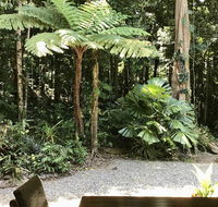 Forest Views Daintree - Holiday Great Ocean Road