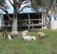 Gaddleen Grove Cottages - Holiday Great Ocean Road