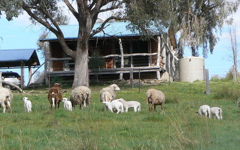 Gaddleen Grove Cottages - Holiday Great Ocean Road 0