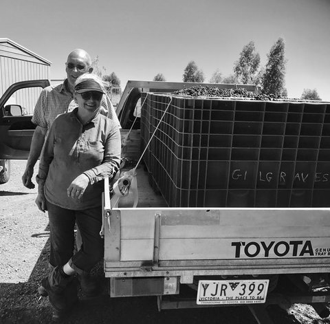 Gilgraves Vineyard Farmstay - Holiday Great Ocean Road 2