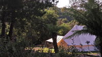 Book Zeehan Accommodation Vacations Holiday Great Ocean Road Holiday Great Ocean Road