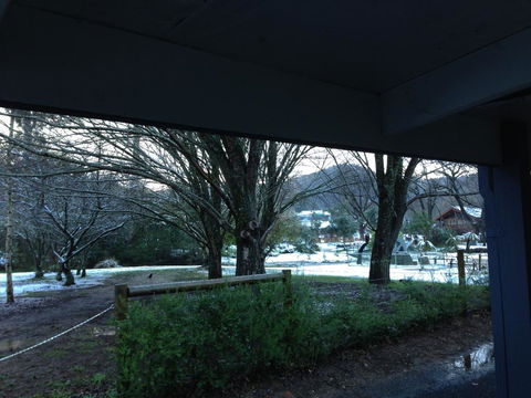 Goldberryaccommodation - Holiday Great Ocean Road 3