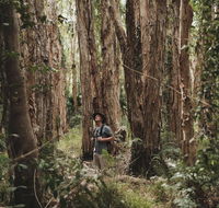 Habitat Noosa - Holiday Great Ocean Road