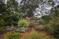 Book Pennyroyal Accommodation Vacations Holiday Great Ocean Road Holiday Great Ocean Road