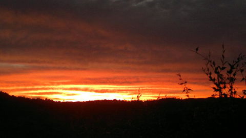 Highwood Park B&B Guest Lodge - Holiday Great Ocean Road 2