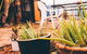 JJs Backpackers Hostel - thumb 2