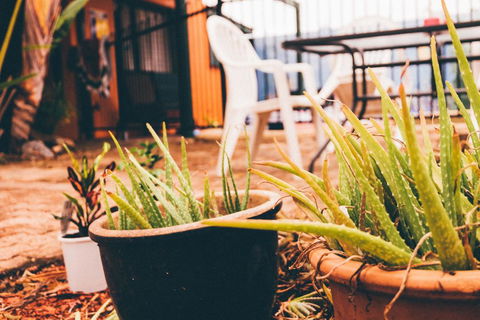 JJs Backpackers Hostel - Holiday Great Ocean Road 2