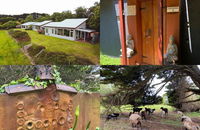 Book Kongwak Accommodation Vacations Holiday Great Ocean Road Holiday Great Ocean Road