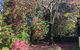 Kookaburra Cottage - thumb 1