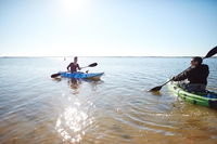 Book Lake Boga Accommodation Vacations Holiday Great Ocean Road Holiday Great Ocean Road