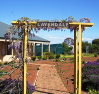 Lavendale Farmstay and Cottages York - Holiday Great Ocean Road