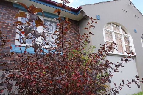 Lurline Villas - Holiday Great Ocean Road 2