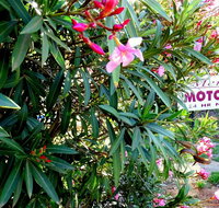 Mercury motor inn - Holiday Great Ocean Road