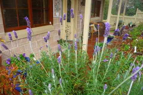 Mountain Escape - Holiday Great Ocean Road 2