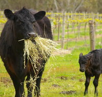 Naimanya Cottage - Holiday Great Ocean Road