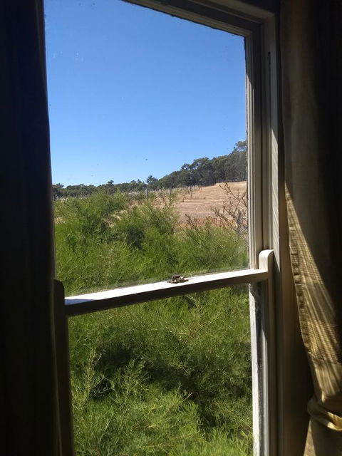 Hotham Ridge Estate - Holiday Great Ocean Road 8