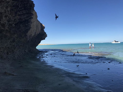 Peoples Park - Holiday Great Ocean Road 36