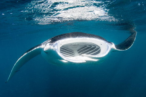 Peoples Park - Holiday Great Ocean Road 32