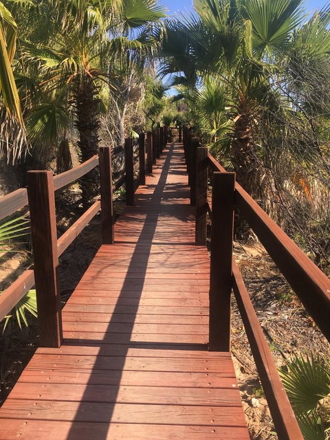 Peoples Park - Holiday Great Ocean Road 10