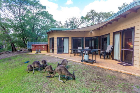 Yelverton Brook Conservation Sanctuary - Holiday Great Ocean Road 18