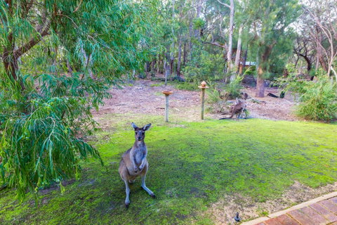 Yelverton Brook Conservation Sanctuary - Holiday Great Ocean Road 11