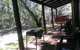 Yelverton Brook Conservation Sanctuary - thumb 4