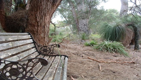Yelverton Brook Conservation Sanctuary - Holiday Great Ocean Road 42