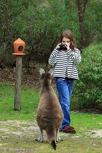 Yelverton Brook Conservation Sanctuary - Holiday Great Ocean Road 39