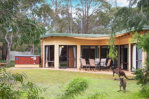 Yelverton Brook Conservation Sanctuary - Holiday Great Ocean Road 20