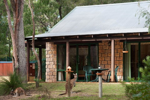 Yelverton Brook Conservation Sanctuary - Holiday Great Ocean Road 36
