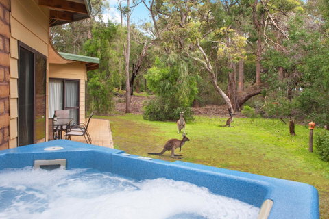 Yelverton Brook Conservation Sanctuary - Holiday Great Ocean Road 9