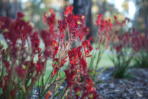 Amaroo Retreat & Spa - Holiday Great Ocean Road 16