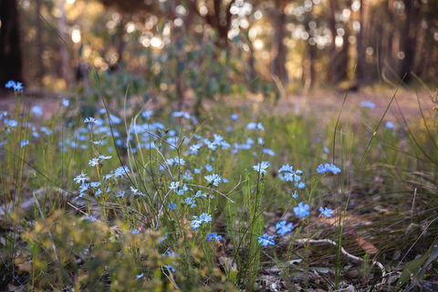 Amaroo Retreat & Spa - Holiday Great Ocean Road 15